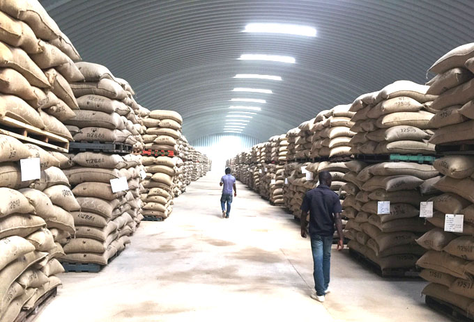 FILE PHOTO: Workers walk past sacks of cocoa at the warehouses of SAF-Cacao in San Pedro, Ivory Coast October 12, 2016. Picture taken October 12, 2016. REUTERS/Ange Aboa/File Photo